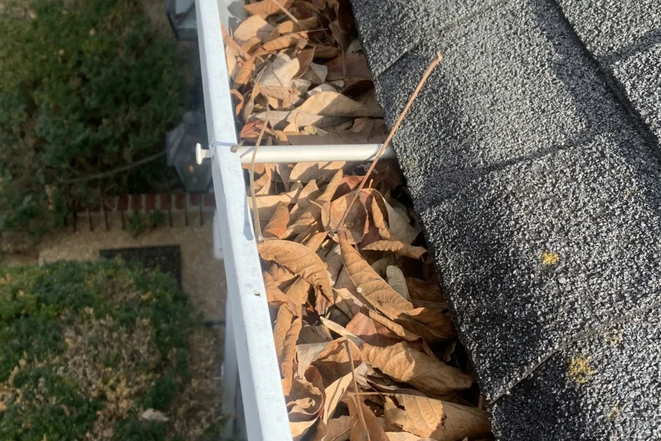 Gutter Cleaning Vander