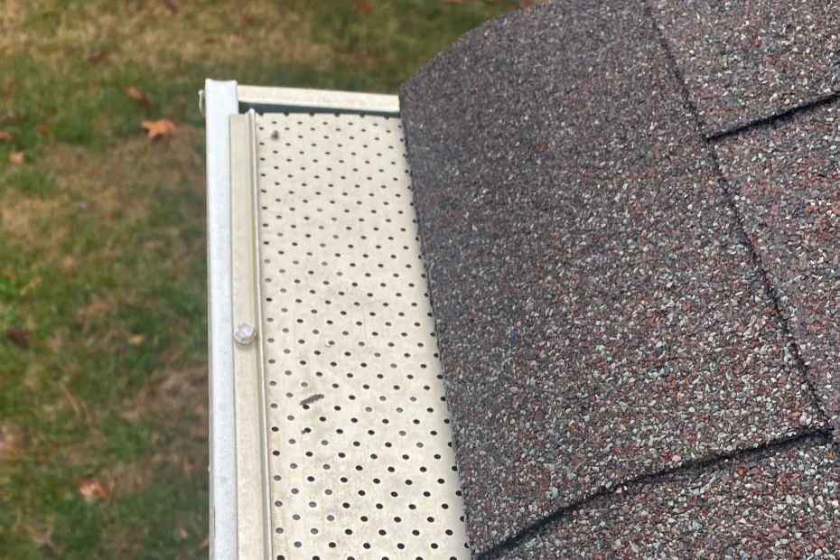 Gutter Cleaning Vander