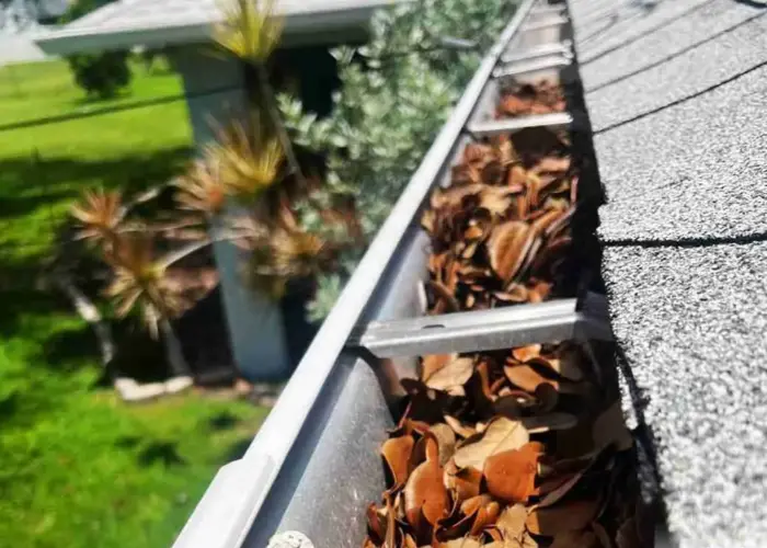 Gutter Cleaning Vander home page